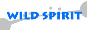 Wild Spirit logo