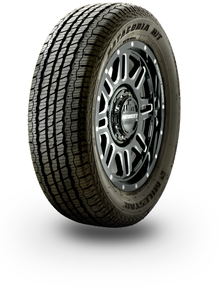 milestar_patagonia_h_t_bw_1000W.png?o=bt